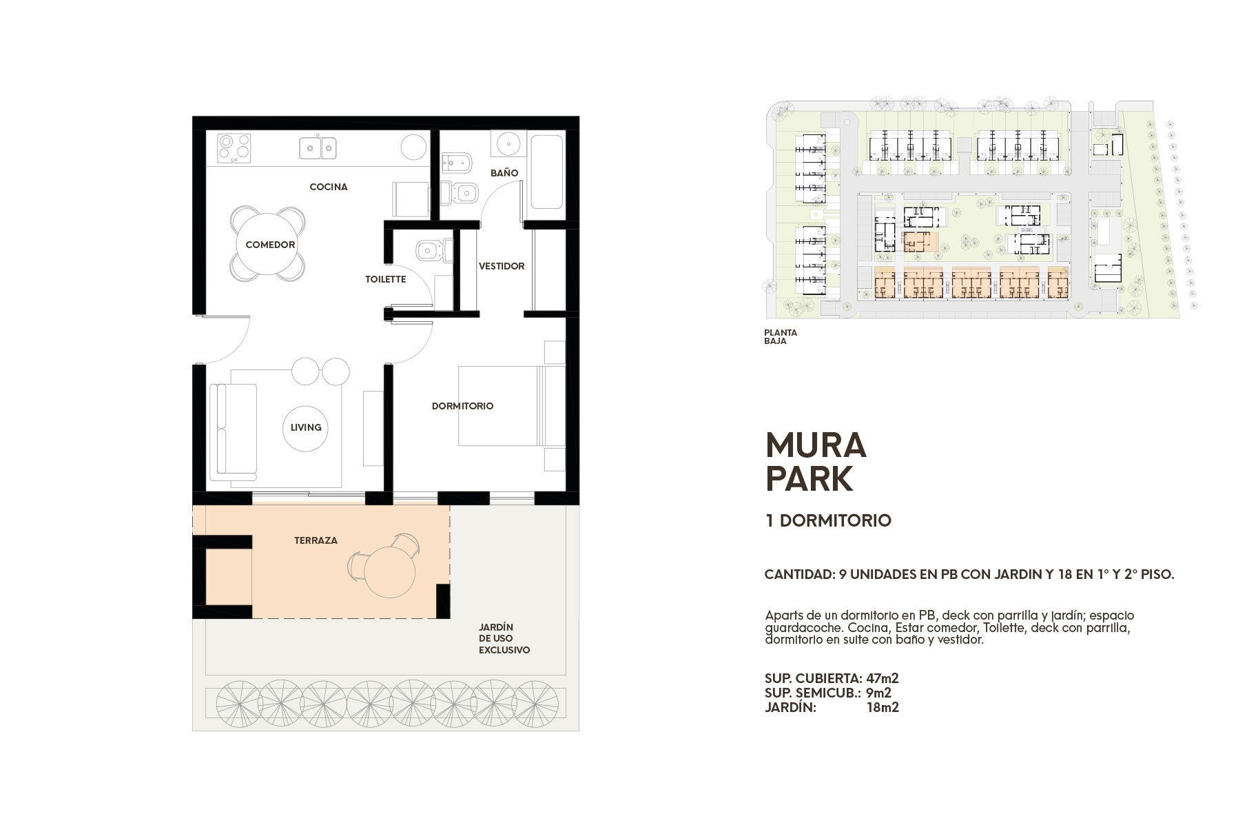 plano imagen